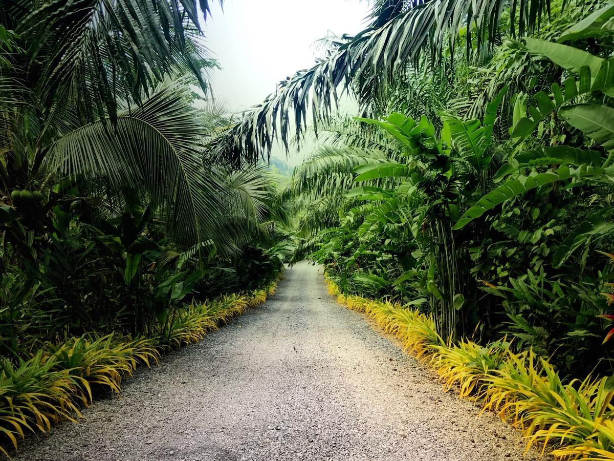 Baan Suan Farmstay Ko Lanta Dış mekan fotoğraf